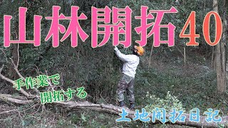 【移住生活】山林開拓　ジャングルのような場所を手作業で開拓する　土地開拓日記40