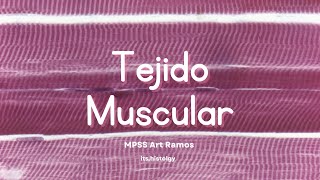 Tejido Muscular (Dr. Arturo Ramos) - its.histology