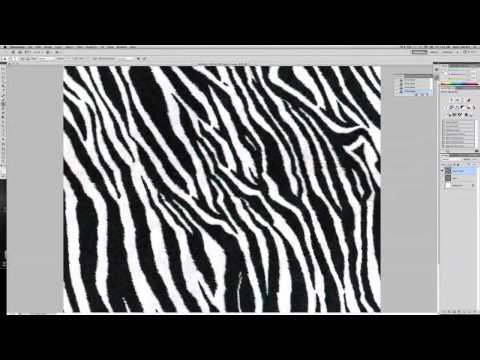 CAFD II Zebra Print Fabric repeat CAFD II Zebra Print Fabric repeat
