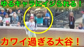 敵地で大谷がイジられた！ゆるキャラにも大人気な大谷がスゴイ！【現地映像】