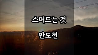 [시낭송] 스며드는 것 - 안도현/시집 - 간절하게 참 철없이/영애시낭송