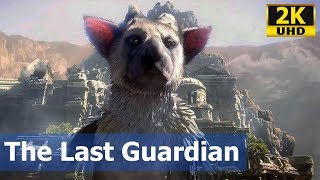 [PS4Pro 2K] Test play: THE LAST GUARDIAN