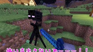 【たこらいす】ほのぼのマイクラゆっくり実況  ＰＡＲＴ２０１　【マインクラフト】　（雑用係！！　編）