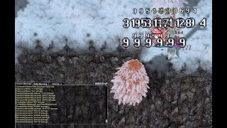 [iRO] Shadow Chaser Fatal Menace Build Test Damage with Boss 5 Millions!