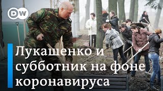 Что Саакашвили теперь говорит о Зеленском и Путине и зачем Лукашенко субботник DW Новости (24.04.20)