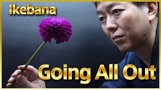 Ikebana Performance | What Happens When a Professional Ikebana Artist Arranges Dahlias!?