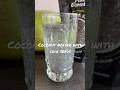 “Refreshing Coconut Water Chia Seed Short Recipe | Healthy and Nutritious” #youtubeshorts #shorts