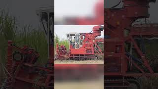 サトウキビハーベスター　沖縄　Sugarcane harvesting, Okinawa, Japan