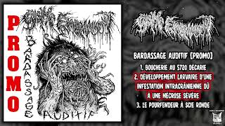 Cystic Embalmment - Bardassage Auditif [Promo] FULL EP (2024 - Goregrind)