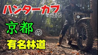 【CT125】カスタムハンターカブで京都の有名林道を走ってみた！