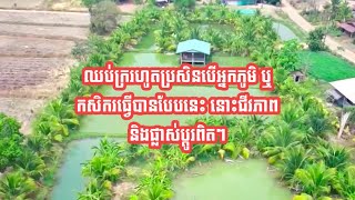 ឈប់ក្ររហូតប្រសិនបើអ្នកភូមិ ឬកសិករធ្វើបានបែបនេះ នោះជីវភាពនិងផ្លាស់ប្តូរពិតៗ/ Farming.