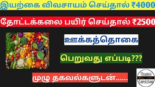 இயற்கை விவசாயிகளுக்கு மற்றும்  காய்கறிகள் தோட்டக்கலை துறை மானியம் விபரங்கள்| 2020 |Thanjai Tamizhan|