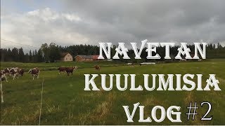 Navetan kuulumisia VLOG#2