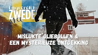 Weekvlog #11 Emigreren naar Zweden - De eerste KOU EN SNEEUW daagt ons nu al uit!