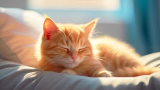 Music for Nervous Cats - Soothing Sleep Music, Deep Relaxation Music For Your Pet