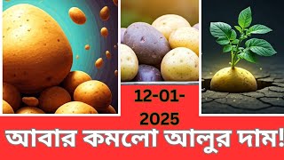 আজকের আলুর দাম কত? আবার কমলো আলুর দাম!\