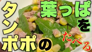 【野草】自然を味わう［タンポポの葉］