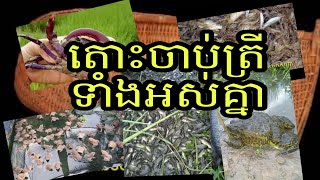 Cambodia's Fishing Material Natural Fish \u0026 Veg ឧបករណ៍ចាប់ត្រីខ្មែរ ត្រីស្រែ បន្លែធម្មជាតិ