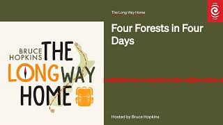 Four Forests in Four Days | The Long Way Home