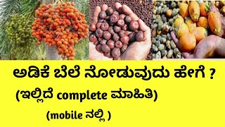 Today arecanut rate | apmc market rate in shivmogga | karnataka apmc market rate in kannada