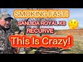 Crazy Fast Recurve! The Sanlida Royal X8 IS A Serious Hunting Bow!