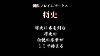 新潟フレイムビークス　将史　応援歌【架空球団】