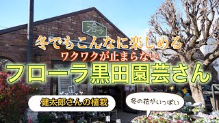 冬も楽しい‼︎フローラ黒田園芸さんに行ってきました！