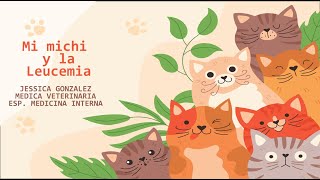 Leucemia Felina: Cómo Ayudar a Tu Gatito a Vivir Feliz y Saludable