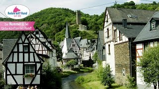 Eifel und Vulkane - auf FERIEN MIT HUND finden Sie die besten Unterkünfte