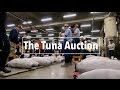 Tuna Auction at Tsukiji Fish Market in Tokyo | A Travel Movie