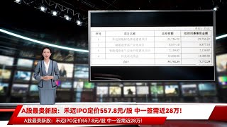 A股最贵新股：禾迈IPO定价557.8元/股 中一签需近28万！