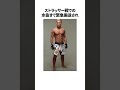 イゴールタナベに関する雑学　 rizin