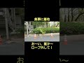 クス吊るし切り。