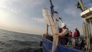 NOAA GLERL Sampling Equipment Plankton Net