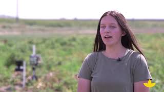 Meet Simplot Agronomy Intern, Morgan