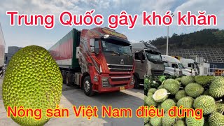 Thật sự bất an khi xe nông sản VN qua Trung Quốc