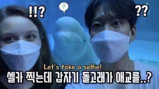 자기 얼굴을 처음 본 돌고래의 반응이? 한독 국제커플 아쿠아리움 데이트 | Aquarium | International Couple