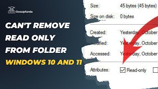 Can't remove read only from folder windows 10 and 11