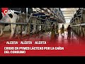 DESPLOME del CONSUMO y CRISIS en TAMBOS: HABLA PABLO VILLANO, PRESIDENTE de PYMES LÁCTEAS