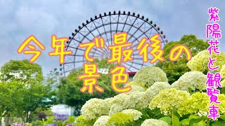 【バイク女子】今年で最後の景色を見てきた！紫陽花ツーリング