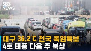 대구 36.2℃ 전국 폭염특보…4호 태풍 다음 주 북상 / SBS