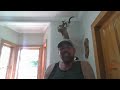 my experience fed u0026 state government corruption wolves as a weapon against us citizens part 2