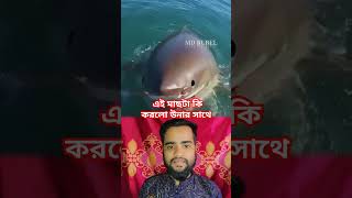 এই মাছটা কি করলো উনার সাথে #foryou #viralvideo #grow #biggboss #comedy #trending