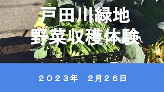 戸田川緑地野菜収穫体験2023/02/26