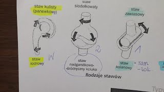 RODZAJE STAWÓW-połączenia ścisłe i ruchome