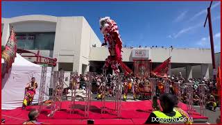 Springvale Lunar Festival,  the year of the Wood Snake 2025 \