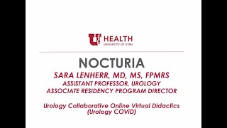 6.8.2020 Urology COViD Didactics - Nocturia