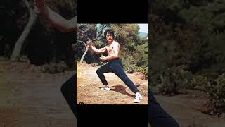 Bruce Lee nunchaku fight 5