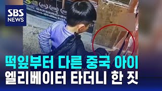 떡잎부터 다른 중국 아이…엘리베이터 타더니 한 짓 / SBS / 오클릭