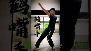 基本功練起來！#wushu #武術 #太極拳